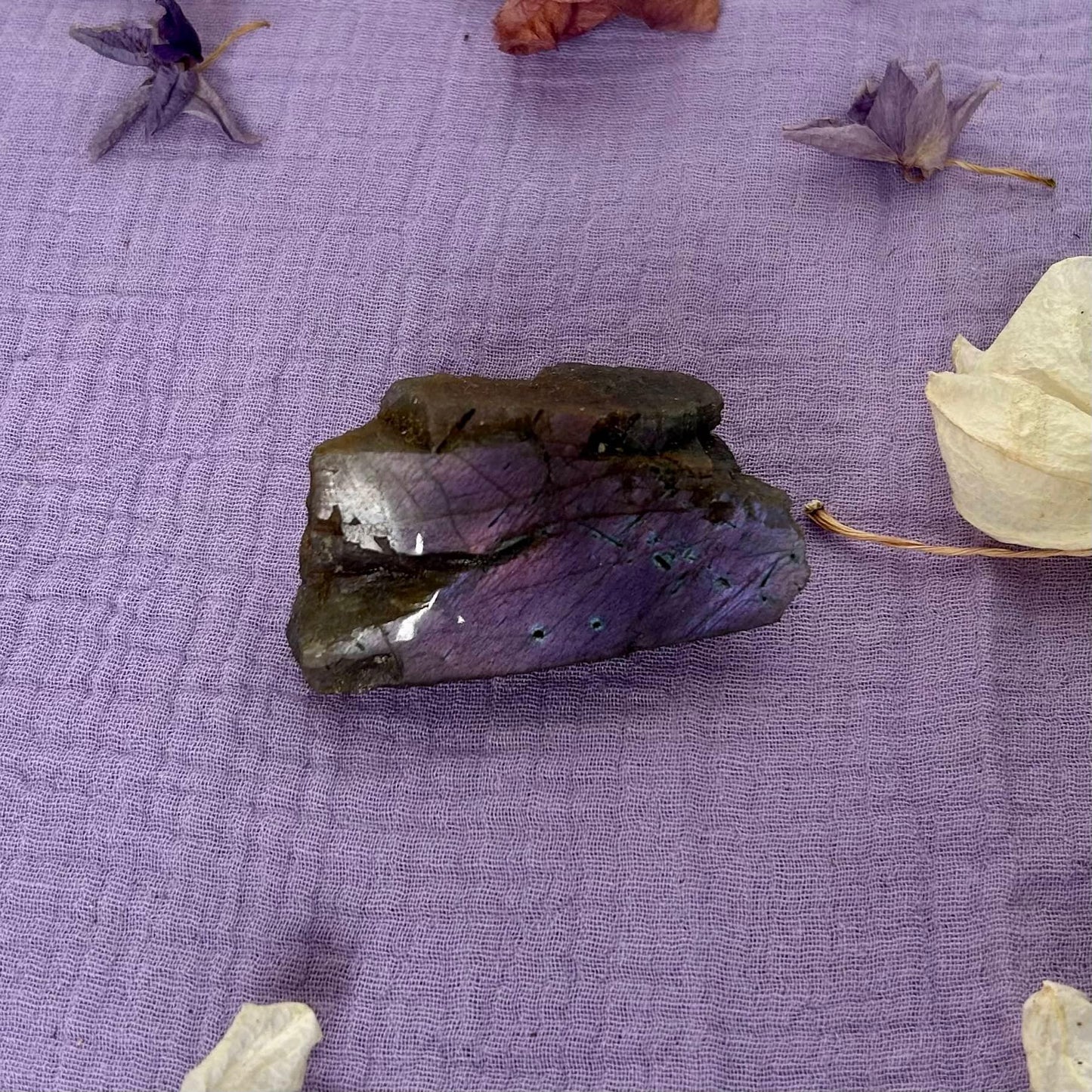  Labradorite Violette de qualité A 